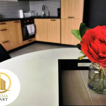 Apartament Cienista 15 *