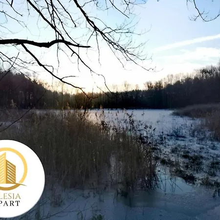 Granatowy Апартаменты *