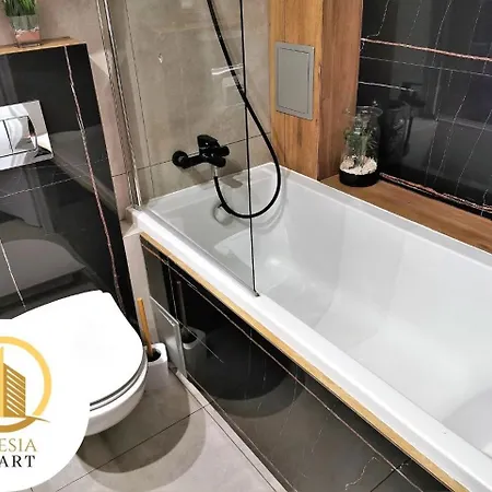 Appartement Granatowy Tychy