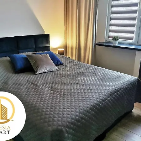 Apartament Cienista 15 *