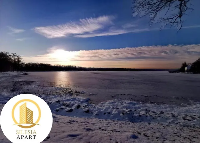 Granatowy * טיצ'י