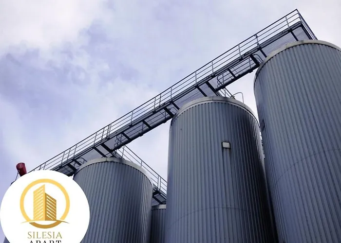 Granatowy Daire Tychy