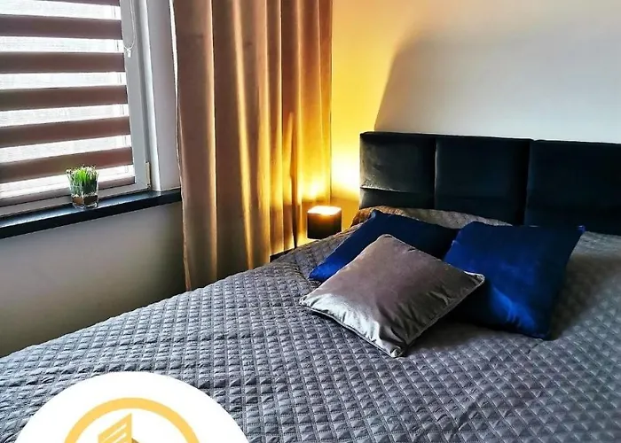 Granatowy * טיצ'י