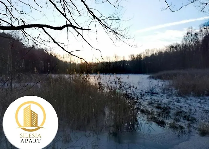 Granatowy דירה *