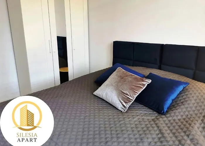 Granatowy * טיצ'י